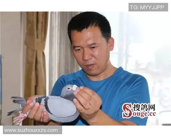 李军独家分享羽毛球技巧与心得助你提升竞技水平与乐趣