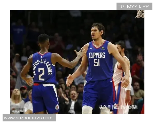 深圳篮球队进攻革新之路：战术创新与团队协作的完美结合